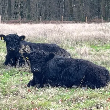 Itterhoeve * Neeritter