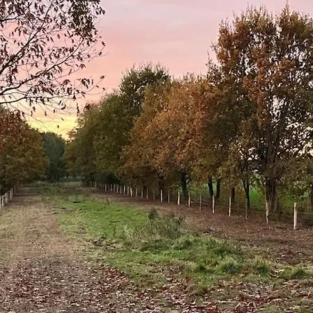 Itterhoeve * Neeritter